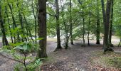 Tour Wandern Meudon - la Forêt Domaniale de Meudon (2) - Photo 11