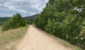 Trail Road bike Aiguilhe - Voie verte au Puy en Velay - Photo 9