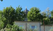 Trail Walking Forcalquier - 20190513. Tour de Forcalquier à pied.  - Photo 3