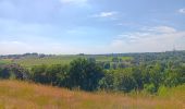 Tocht Stappen Riemst - kanne . carrière . château fort st pierre . château neerkanne - Photo 12