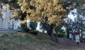 Randonnée Marche Roquebrune-sur-Argens - les hauts de Roquebrune  - Photo 1