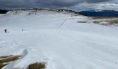 Trail Snowshoes Mijanès - Mijanes station col de Pailheres  - Photo 6