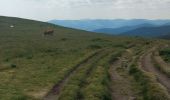 Tocht Stappen Orbey - randonnée des 3 lacs, lac noir , lac blanc et lac du former ( lac des truites) Vosges  - Photo 20