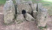 Tocht Stappen Durbuy - Les Dolmens de Wéris  - Photo 5