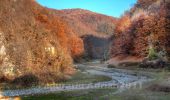 Trail On foot Unknown - sat Câmpani (DN75) - Valea Sighiștelului - DN75 km 25+100 - Photo 9