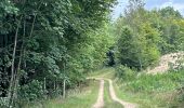 Randonnée Marche Étalle - Etalle - cani-balade - Photo 4