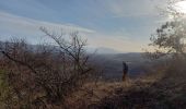 Excursión Senderismo Varacieux - Le Molard d'Essemat- Varacieux - Photo 14