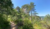 Trail Walking Saint-Pierre-des-Tripiers - Cassagnes crête vallée Jonte et Tarn 12,2 km - Photo 10