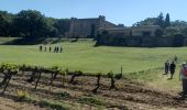 Randonnée Marche Sabran - Sabran marche vigneronne - Photo 4