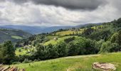 Tour Wandern Woll - la bresse-bassedesfeignes-2024-07-01 - Photo 1