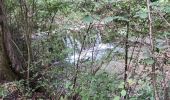 Tocht Stappen Grand-Aigueblanche - Cascade du Morel-20-07-22 - Photo 2