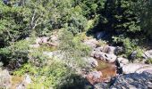 Tocht Stappen Pont de Montvert - Sud Mont Lozère - T-Le Merlet - Photo 5