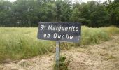 Randonnée Marche Mesnil-en-Ouche - 20220610-Beaumesnil - Photo 11