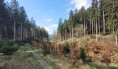 Trail Walking Burg-Reuland - rando burg reuland 18-04-2023 - Photo 15