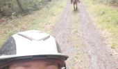 Trail Horseback riding Saint-Martin - St Martin domevre bois banal Pont rouge blockhaus  - Photo 12