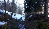 Excursión Senderismo Saint-Martin-en-Vercors - les pas de l'Allier - Photo 5