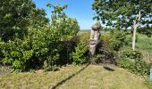 Trail Walking Kapelle - Wemeldinge Goes boucle 16,9 km - Photo 11