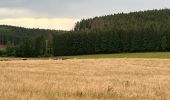Trail Horseback riding Neufchâteau - Bois d’Ospot depuis les pompiers - Photo 13