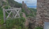 Randonnée Marche Ribeauvillé - Ribeauvillé les 3 château  - Photo 3