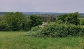 Trail Walking Philippeville - Merlemont 100522 - Photo 18