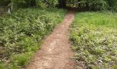 Trail Walking Braine-le-Comte - Henripont adeps - Photo 3