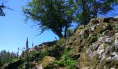 Tour Wandern Wegscheid - Sattelboden - Photo 5