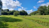 Tour Wandern Clavier - Marche gourmande Rotary de Durbuy - Photo 12