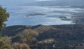 Trail Walking Municipality of Agios Nikolaos - Le sommet d’Oxa à partir d’Agios Nikolaos - Photo 6