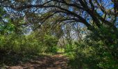 Trail Walking Montboucher-sur-Jabron - Montboucher-Bois de Lion 10km - Photo 1