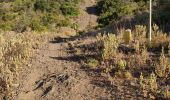 Tour Wandern Roquebrune-sur-Argens - z la Bouverie 25-08-20 - Photo 1