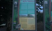 Trail Walking Palneca - 4 eta gr 20 Col de veldre - Campanelle Ghisoni - Photo 20