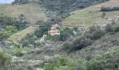 Tour Wandern Argelès-sur-Mer - Mas Cristina: Par les trois mas - Photo 2