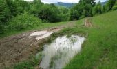 Trail On foot Vișeu de Sus - RO-Viseu - Poienile de sub munte - Photo 8