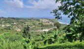 Excursión Senderismo Le Lorrain -  Boucle Morne Ceron via Morne Icaque - Photo 10