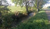 Tocht Stappen Rennemoulin - 2024-11-12-Rennemoulin-fontaine de Maltoute - Photo 3