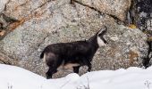 Tour Zu Fuß Valsavarenche - (SI F01) Rifugio Savoia - Rhêmes-Notre-Dame - Photo 5