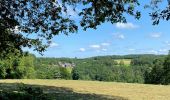 Tour Zu Fuß Radevormwald - Uelfe Rundweg A2 - Photo 7