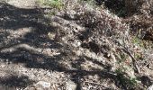 Tour Wandern Manosque - 210625eau - Photo 2