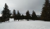 Percorso Racchette da neve Lepuix - Wissgrut - Photo 4
