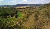 Tour Wandern Veyrines-de-Domme - Les Milandes 13km - Photo 5