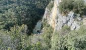 Trail Walking Lussan - Les conclusse depuis Pradeilles - Photo 8