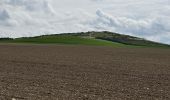 Trail Walking Escalles -  Cap Blanc Nez-Wissant-mont de Couple 25 km - Photo 13