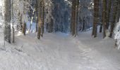 Randonnée Raquettes à neige Valserhône - col de Cuvery - Photo 1