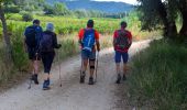 Tocht Stappen La Londe-les-Maures - SityTrail - Notre Dame des Maures-12-02-21 - Photo 3