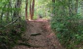 Randonnée Marche Esneux - parc du Mary. targnon . parc du Mary - Photo 15
