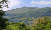 Trail Walking Goldbach-Altenbach - goldbach - Photo 5