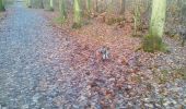 Tour Wandern Plaisir - Forêt de Ste Appoline - Photo 5