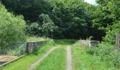 Tocht Te voet Schöffengrund - Rundwanderweg Schwalbach - Niederquembach - Photo 2