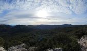 Excursión Senderismo Signes - Plateau de la Limate en partant de Siou Blanc - Photo 10