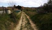 Tour Wandern Châteauneuf-de-Galaure - Le tour de Châteauneuf de Galaure - Photo 15